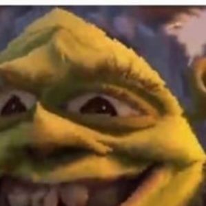 Meet your Posher, Lacy